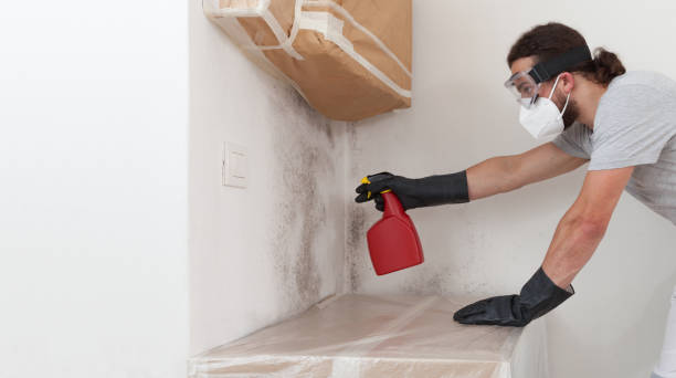 Professional Attic Mold Remediation technician working in Skillman, NJ