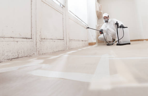 24/7 Emergency Attic Mold Remediation experts in Skillman, NJ