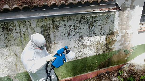 Top rated local Attic Mold Remediation specialists in Skillman, NJ